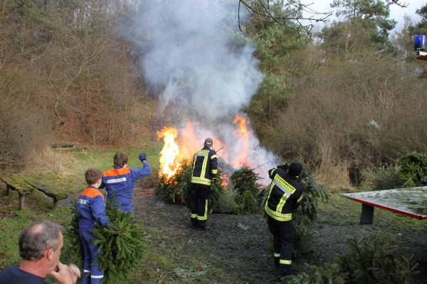 Weihnachtsbaum1512