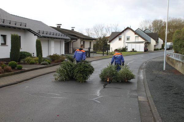 Weihnachtsbaum153