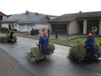 Weihnachtsbaumsammlung