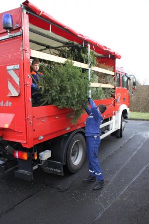 Weihnachtsbaum155