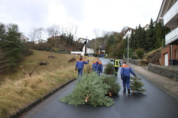 Weihnachtsbaum156