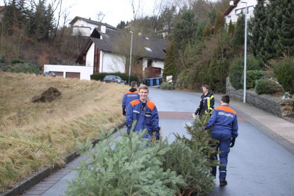 Weihnachtsbaum157