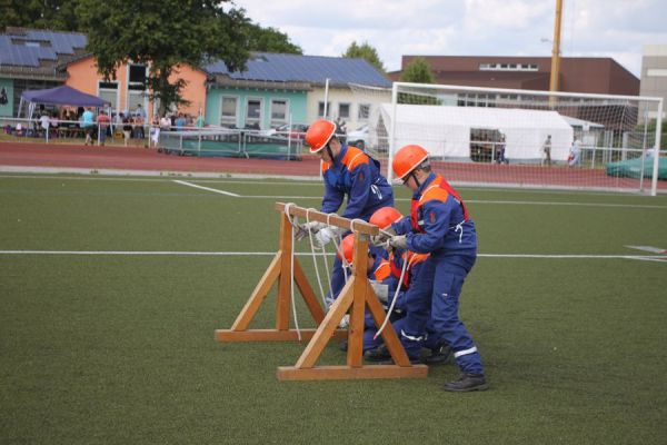 IMG 8729