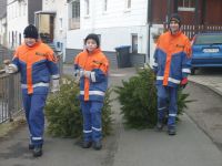 Weihnachtsbaumsammlung