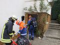 IMG 4181