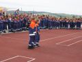 IMG 2787
