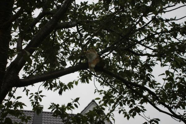 IMG 0265 IMG 0265