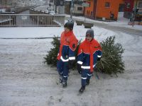 Weihnachtsbaumsammlung