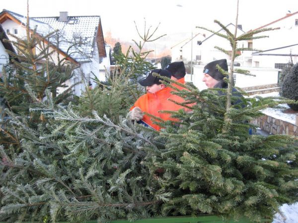 Weihnachtsbaumsammelaktion 10.01.09 17