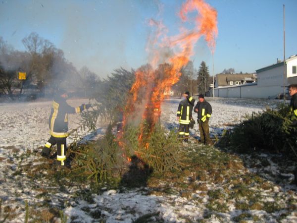 Weihnachtsbaumsammelaktion 10.01.09 20
