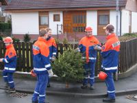 Weihnachtsbaumsammlung