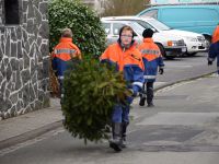 Weihnachtsbaumsammlung