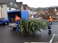 Weihnachtsbaumsammlung