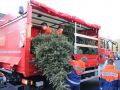 IMG 8886