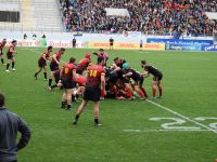 Rugby Länderspiel in Offenbach